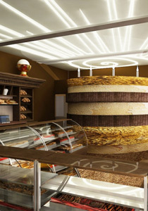 ������������ ��������������